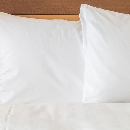 Holiday Inn Express & Suites Albany Eksteriør bilde