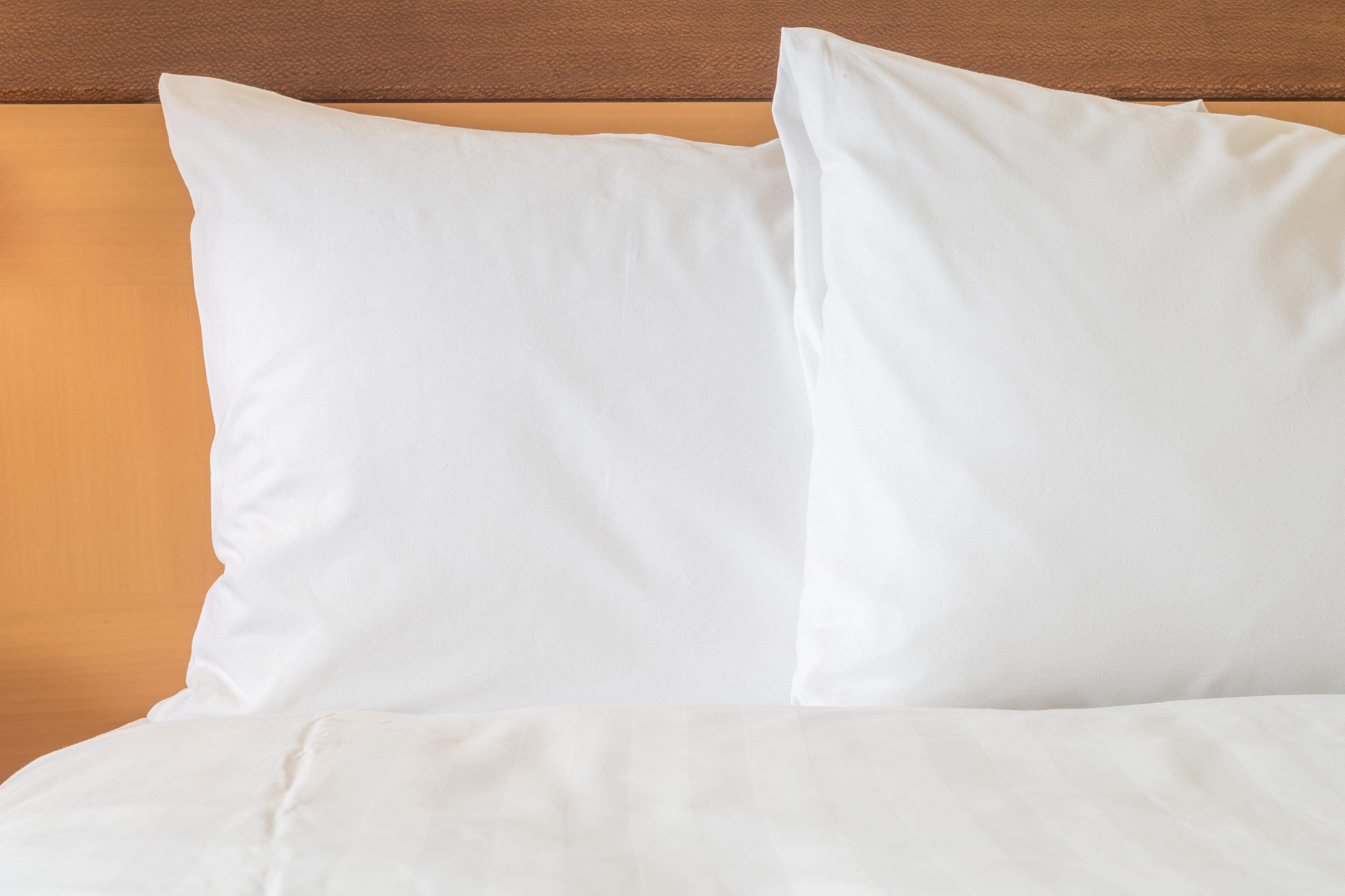 Holiday Inn Express & Suites Albany Eksteriør bilde