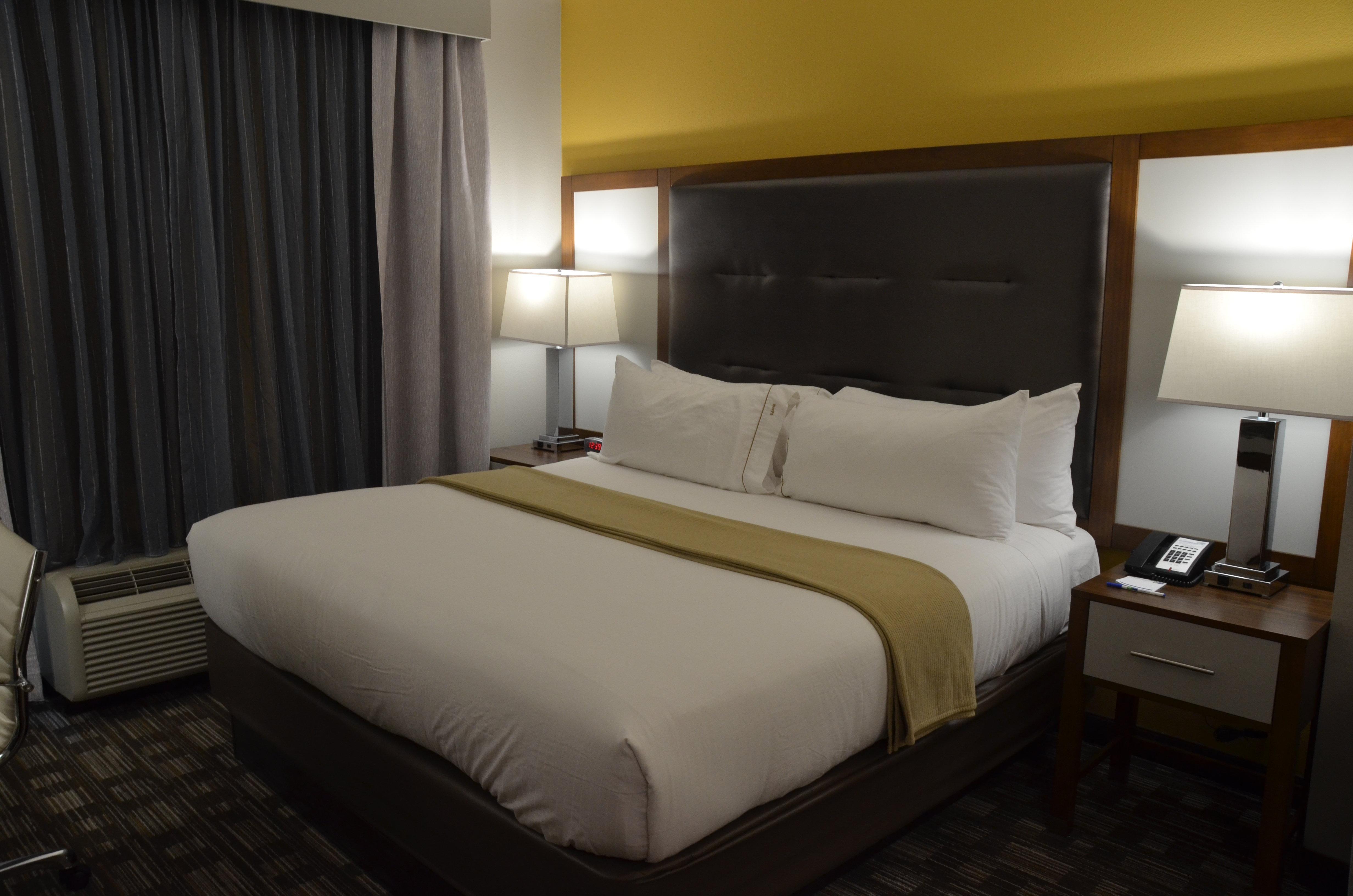 Holiday Inn Express & Suites Albany Eksteriør bilde